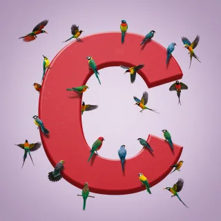 Birds — letter C (variant 2)