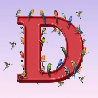 Birds — letter D