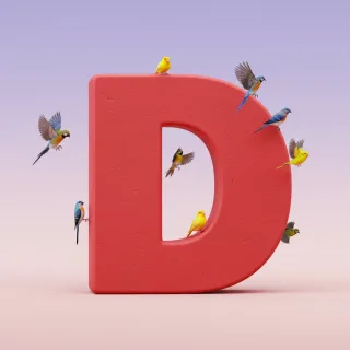 Birds — letter D (variant 2)