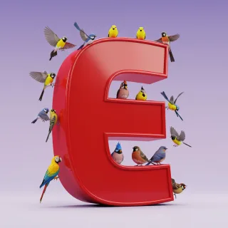 Birds — letter E (variant 2)