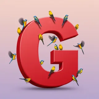 Birds — letter G