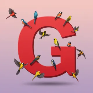 Birds — letter G (variant 2)