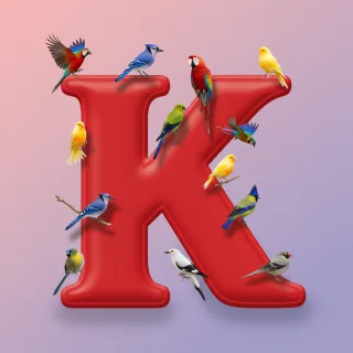 Birds — letter K (variant 2)