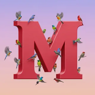 Birds — letter M