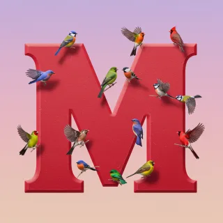 Birds — letter M (variant 2)