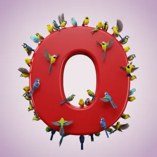 Birds — letter O