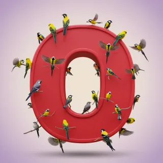 Birds — letter O (variant 2)