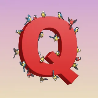 Birds — letter Q