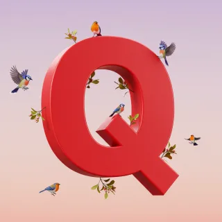 Birds — letter Q (variant 2)