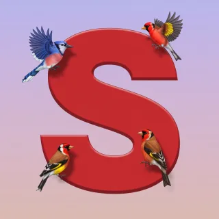Birds — letter S (variant 2)