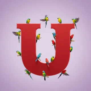Birds — letter U