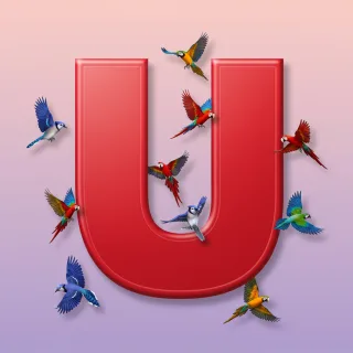Birds — letter U (variant 2)
