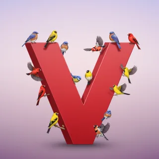 Birds — letter V