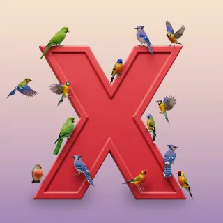Birds — letter X (variant 2)