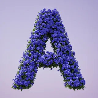 Blue pansies
