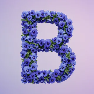 Blue pansies — letter B