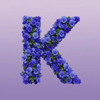 Blue pansies — letter K