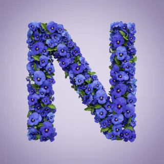 Blue pansies — letter N (variant 2)
