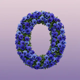 Blue pansies — letter O