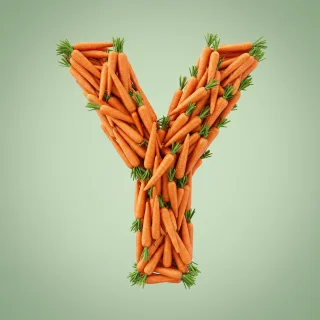 Carrots — letter Y (variant 2)