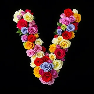 Colorful roses — letter V