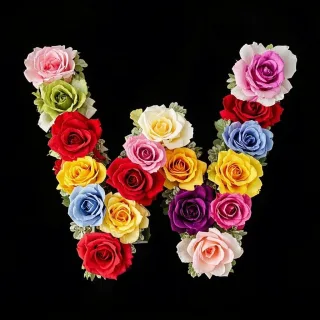 Colorful roses — letter W