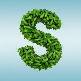 Cucumber — letter S