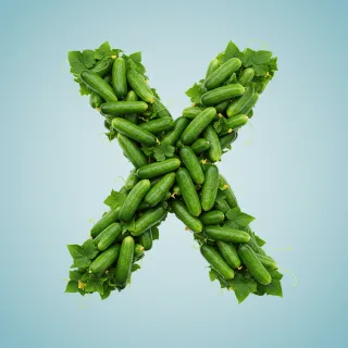 Cucumber — letter X (variant 2)