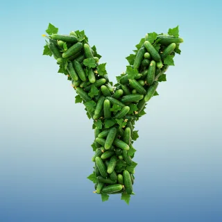 Cucumber — letter Y (variant 2)