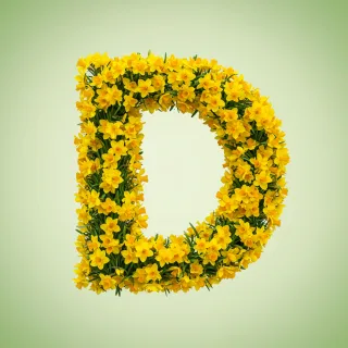 Daffodil 2 — letter D (variant 2)