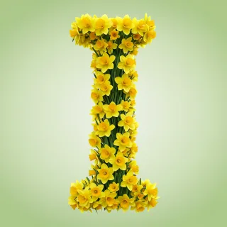 Daffodil 2 — letter I (variant 2)