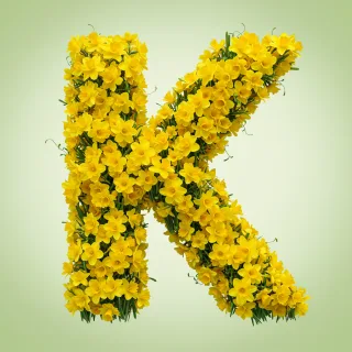 Daffodil 2 — letter K (variant 2)