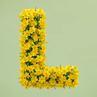 Daffodil 2 — letter L (variant 2)