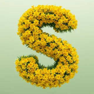 Daffodil 2 — letter S (variant 2)