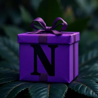 Gift — letter N