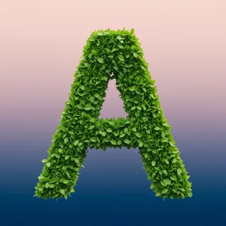 Green leaves 2 — letter A