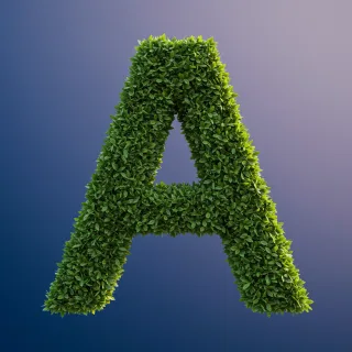 Green leaves 2 — letter A (variant 2)