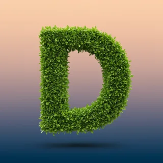 Green leaves 2 — letter D