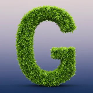 Green leaves 2 — letter G