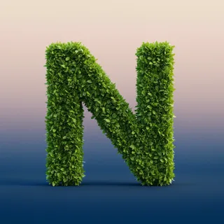 Green leaves 2 — letter N