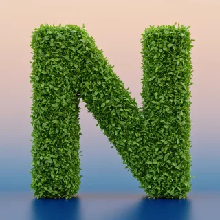 Green leaves 2 — letter N (variant 2)