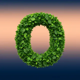 Green leaves 2 — letter O