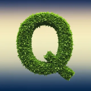 Green leaves 2 — letter Q