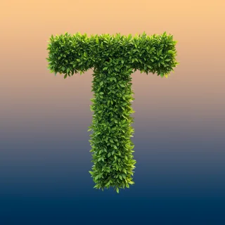 Green leaves 2 — letter T