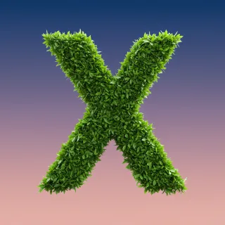 Green leaves 2 — letter X