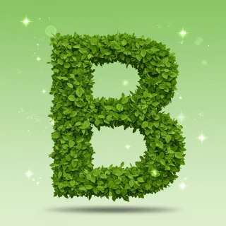 Green stars — letter B