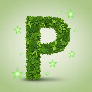 Green stars — letter P