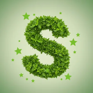 Green stars — letter S
