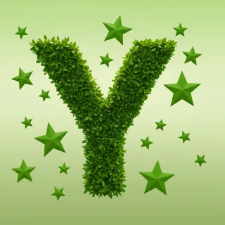 Green stars — letter Y (variant 2)