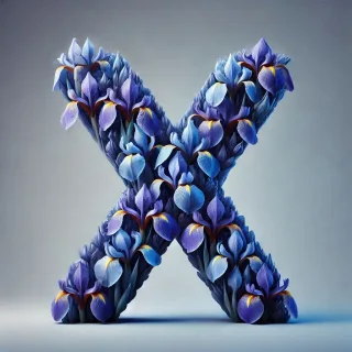 Iris 2 — letter X